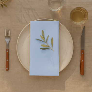 Plain Light Blue 100% Fabric Napkin Set