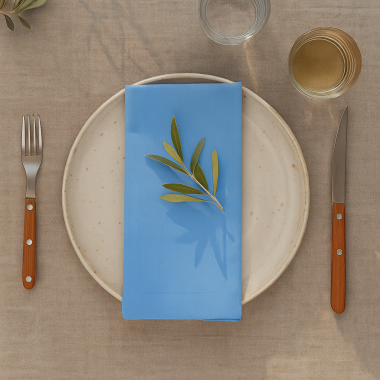 Plain Sky Blue 100% Fabric Napkin Set