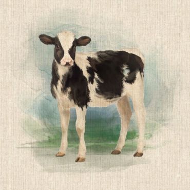 Black and White Calf/Cow 18" x 18" Cushion/Bag Panel