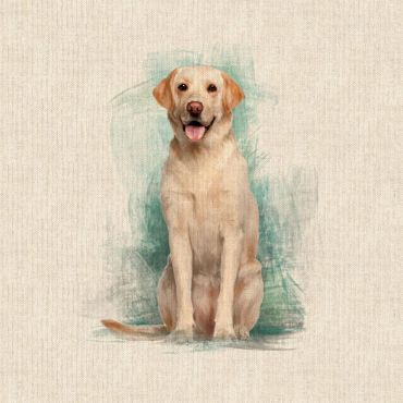 Yellow Labradors 18" x 18" Cushion/Bag Panel