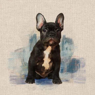 French Bulldog 18" x 18" Cushion/Bag Panel