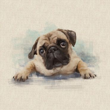 Pugs 18" x 18" Cushion/Bag Panel