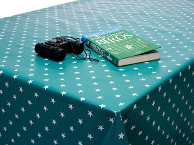 Jade Green and White Little Stars PVC Vinyl Wipe Clean Tablecloth
