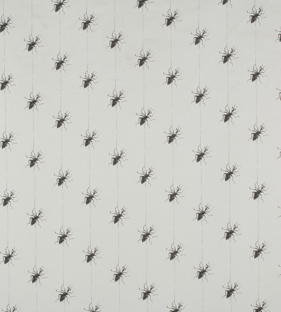 Ashley Wilde Roald Dahl Miss Spider 100% Cotton Curtain and Upholstery Fabric